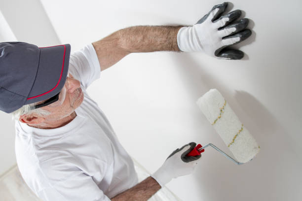 Best Drywall Removal and Disposal  in Flatwoods, KY