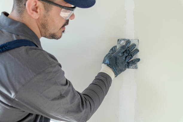 Best Water-Damaged Drywall Repair  in Flatwoods, KY