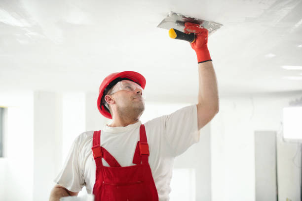 Best Exterior Painting  in Flatwoods, KY